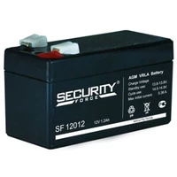 Аккумулятор Security Force SF 12012 Аккумулятор Security Force SF 12012