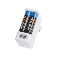 Зарядное устройство ROBITON SmartUSB BL1 11456 Зарядное устройство ROBITON SmartUSB BL1 11456